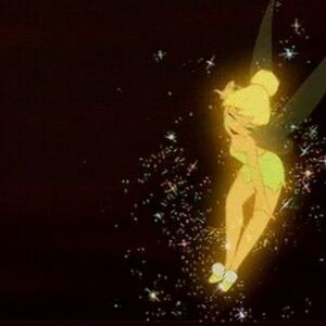 Meet your Posher, Ali